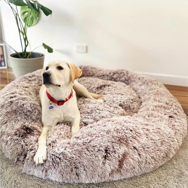 Bella&Toby - Hundsäng